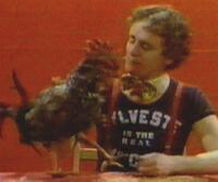 The Real McCoy feeds a chicken.